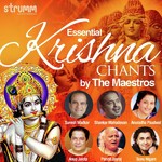 Essential Krishna Chants by the Maestros - Mohan Sharma Song Download